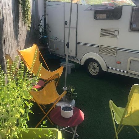 Gardencaravan Near Ghent In Green Area Exterior photo