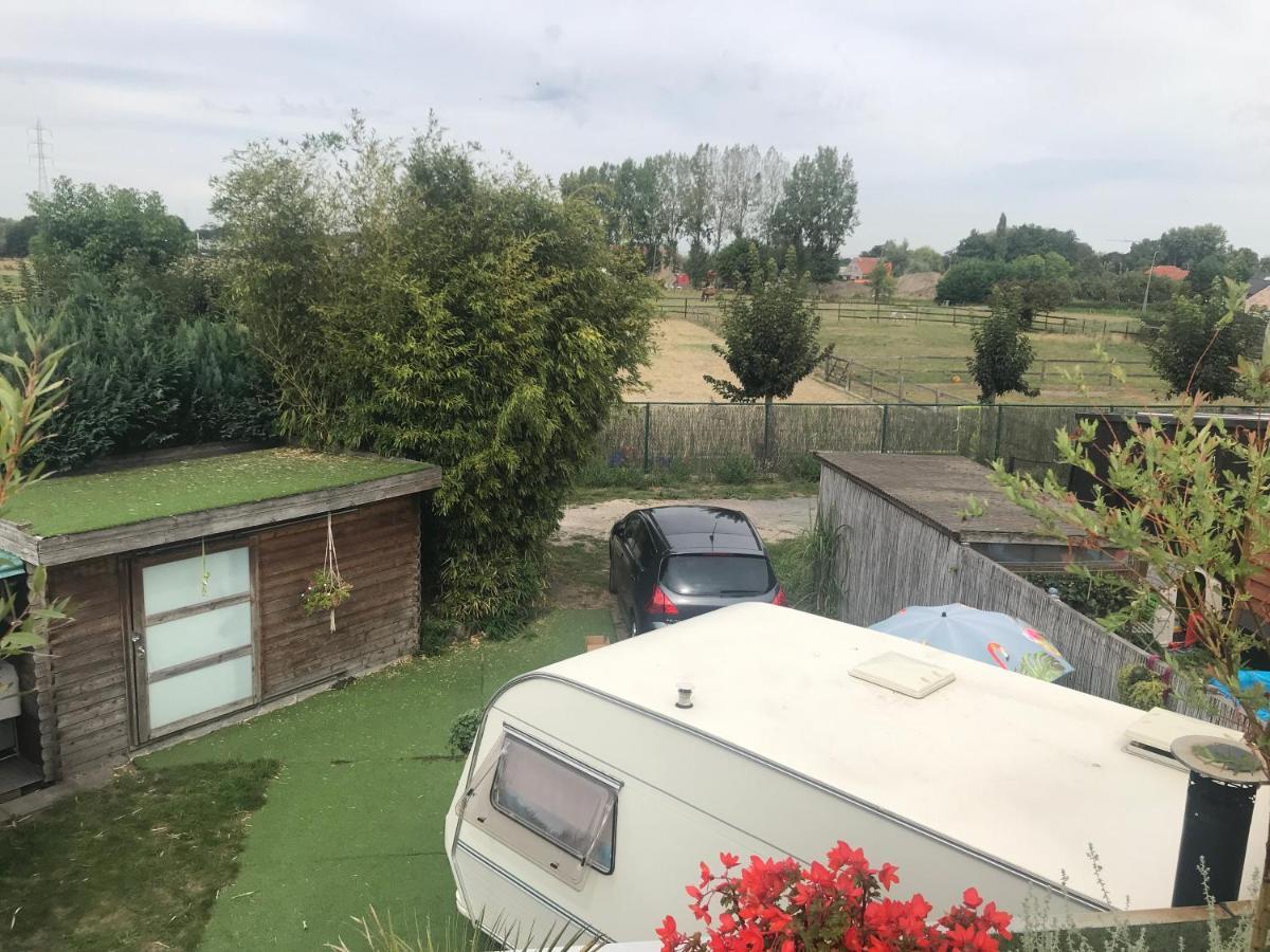 Gardencaravan Near Ghent In Green Area Exterior photo
